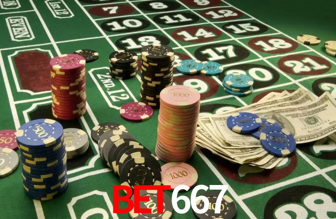 Experiência VIP bet667